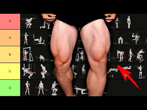 Видео: УПРАЖНЕНИЯ НА НОГИ ОТ ХУДШИХ К ЛУЧШИМ | РЕЙТИНГ ЭФФЕКТИВНОСТИ