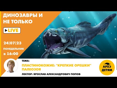 Видео: Занятие "Пластинокожие: «крепкие орешки» палеозоя" кружка Динозавры и не только с Ярославом Поповым