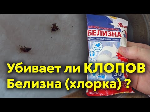 Видео: Помогает ли БЕЛИЗНА ОТ КЛОПОВ?