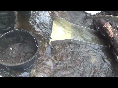 Видео: По тихому мою золото минишлюзом! Новые ковры!