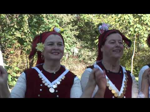 Видео: Фолклорен ансамбъл при НЧ "Дочо Михайлов-1906" с.Бабук-  Данец