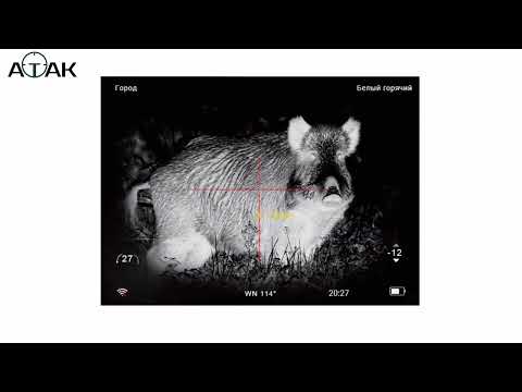 Видео: Тепловизионные прицелы ATAK ET23