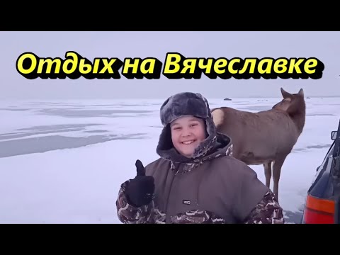 Видео: Отдых на Вячеславском Водохранилище