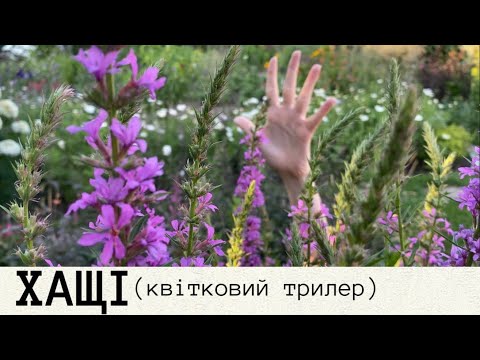 Видео: Щільні насадження рослин • Квіти для природнього стилю