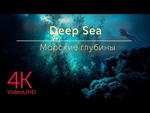 Видео: Deep Sea Abyssal Depths Relaxation Film With Calming Music video in 4K| Морские глубины
