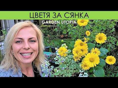 Видео: ЦВЕТНИ композиции за СЯНКА