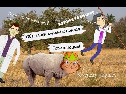 Видео: Обзор "Обезьянки мутанты ниндзя"-2 от ASH2