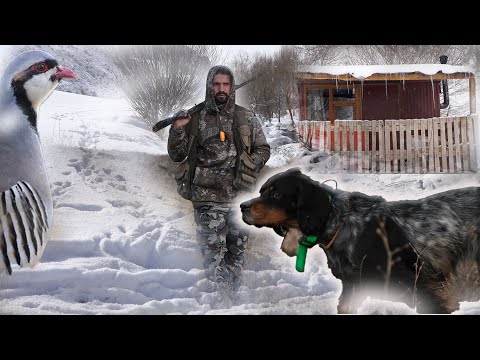 Видео: Великолепная охота после ночи в заброшенном горном доме