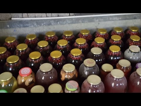 Видео: БАНКАЛАР КАНДАЙ ТУРИБДИ 🍒🍒🍒🍒🍒🍒