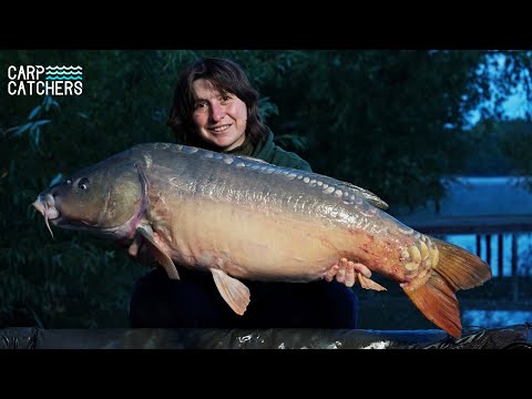 Видео: Путешествие за трофейными карпами. Озеро Ульяники // Рыбак на карпа летом / Карпфишинг 2024