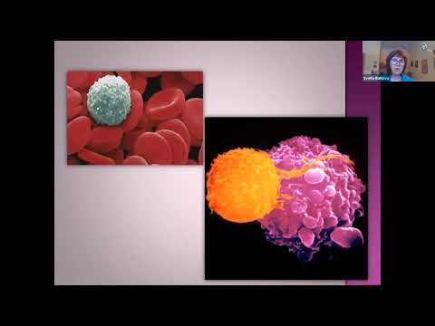 Видео: Имунна система - лекция на д-р Светла Балтова