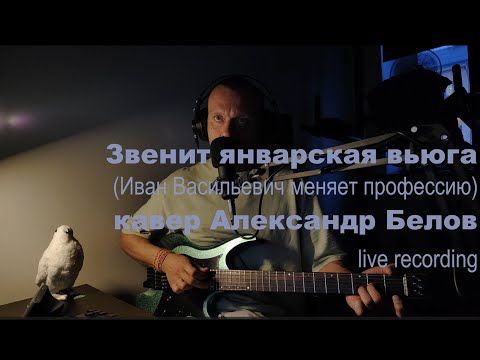 Видео: Звенит январская вьюга