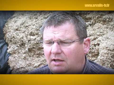 Видео: Почему французские фермеры считают кукурузный силос идеальным кормом?