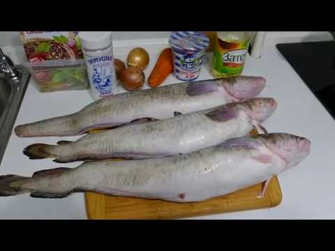 Видео: Рецепт как приготовить налима в сметане