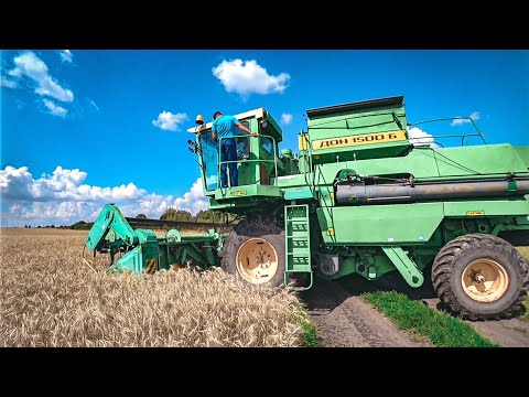 Видео: СТАРТ УБОРОЧНОЙ 2023