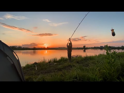 Видео: Риболовля з Ночівлею.  Хошорий кльов Коропа, Карася, Амура, та Рака). 4K