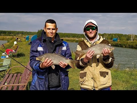Видео: От кабаньих прудов до РК АЗАРТ