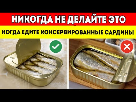 Видео: Всего 2% Знают Об Этом! Шокирующие Ошибки, Которые Все Допускают При Еде Сардины