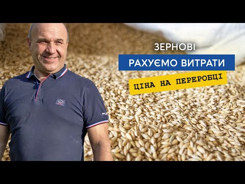 Видео: Ціни на зерно. Рахуємо витрати, яра пшениця сипанула 7 тон, ячмені до 6. Зерно поїде на крупорушку.