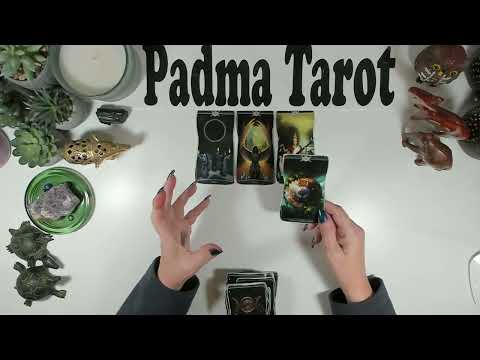 Видео: БЛИЗНЕЦЫ♊️ЭТО НОВЫЙ ВЫ! ПОСЛАНИЯ ОТ ДУХА ✨️Бонусное гадание на картах Таро 💫🔮