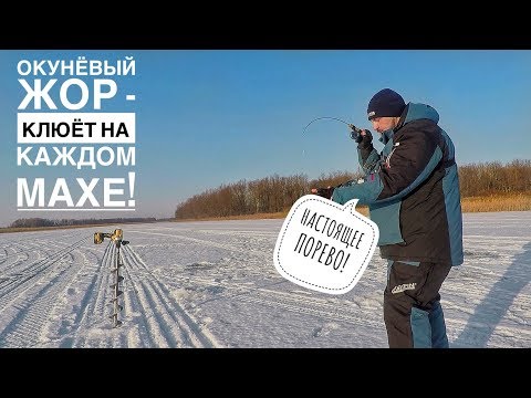 Видео: ОКУНЁВЫЙ ЖОР! Поиск и Ловля Окуня на Балансир. КАБАНЧИКИ ОДИН ЗА ДРУГИМ! Зимняя Рыбалка 2019-2020 .