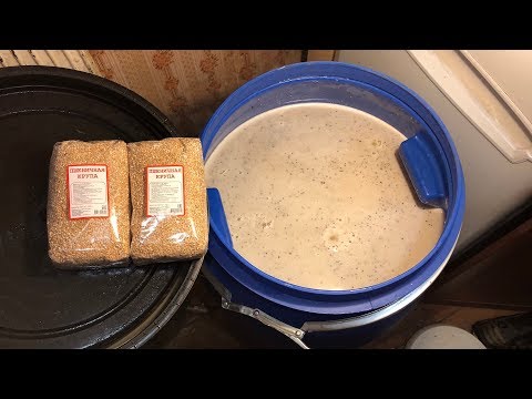 Видео: Пшеничный виски на кодзи. Ставим брагу!