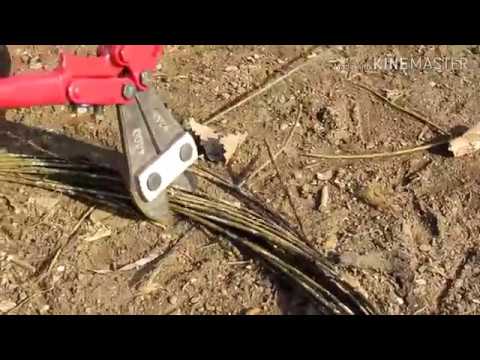 Видео: (Накусали) 580 кг брошенной проволоки.