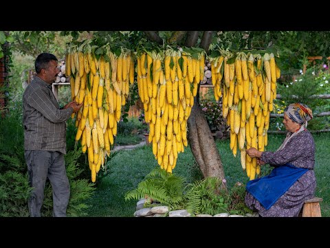 Видео: 🌽🌽🌽"Свежесть на Целый Год: Самый Простой Способ Сохранить Кукурузу Мягкой !"🌽🌽🌽