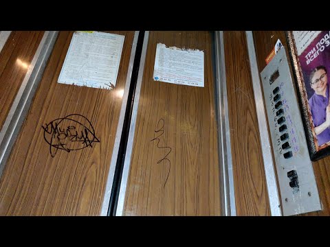 Видео: 🏠Дом серии 121-036 проекта! Лифт (МОЭЛЗ-1978 г.в); город Тольятти; Ленинский пр-кт 8, подъезд 7