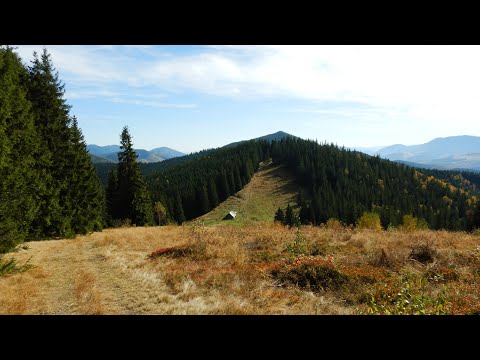 Видео: Карпати. Татарів-Ворохта. Похід на г. Хорде-Доброкиївська-полонина Мунчелик-г. Рижа.(2019)