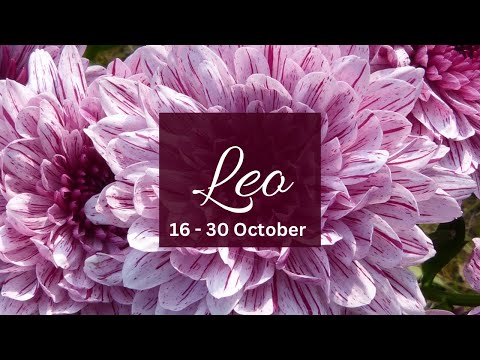 Видео: Лео❤️Им тоже больно находиться вдали от тебя, но именно поэтому они не общаются...