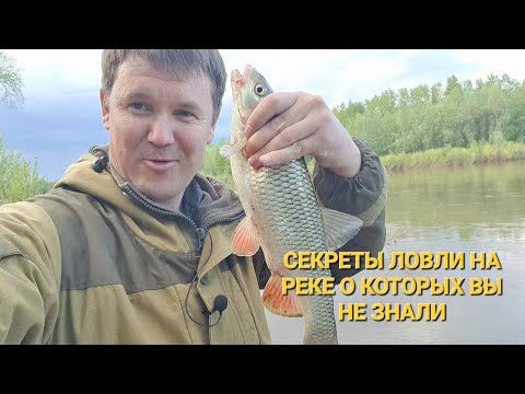 Видео: БЕСПРОИГРЫШНЫЙ МЕТОД ЛОВЛИ НА РЕКЕ ДОНКОЙ! И ПРИКОРМ НЕ НУЖЕН