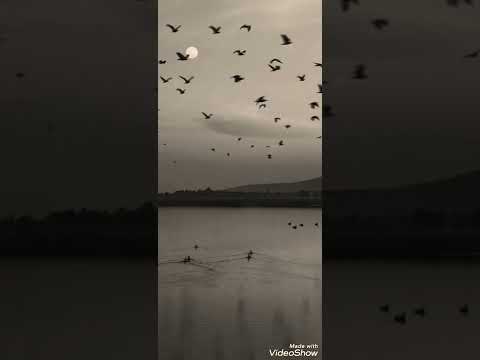 Видео: Nurmuhammed Jaqp - Самая Самая (slowed down )