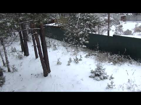 Видео: Дача с добротным бревенчатым домом и нетронутой природой. СНТ Медик г.Электрогорск