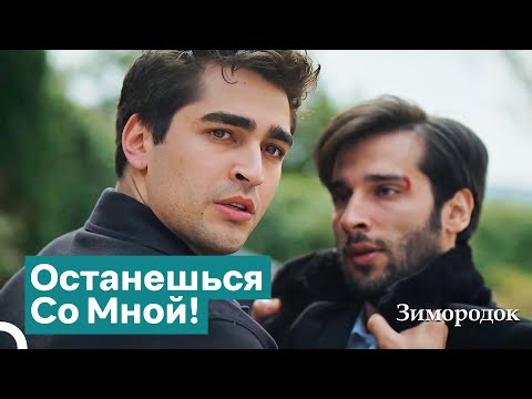 Видео: Ты Жаждешь Смерти | Зимородок