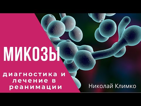 Видео: Микозы - диагностика и лечение в реанимации