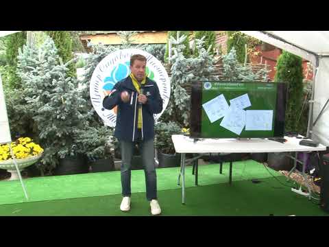 Видео: "Опыт создания лианария в условиях частного сада" Александр Сапелин на #MasteraSadaFest