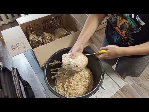 Видео: Получила посылку с корнями хризантем мультифлор. Распаковка и посадка новой расцветки. 😋🥰