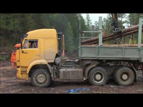 Видео: еду груженый (лесная красота)