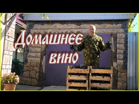 Видео: Как приготовить ВКУСНОЕ ДОМАШНЕЕ ВИНО: простой и быстрый рецепт из винограда.