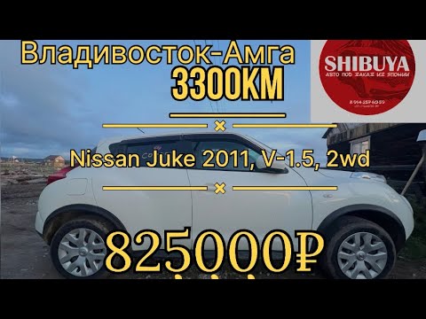 Видео: Перегон Владивосток Амга 3300 км Nissan Juke 2011. 825000рб
