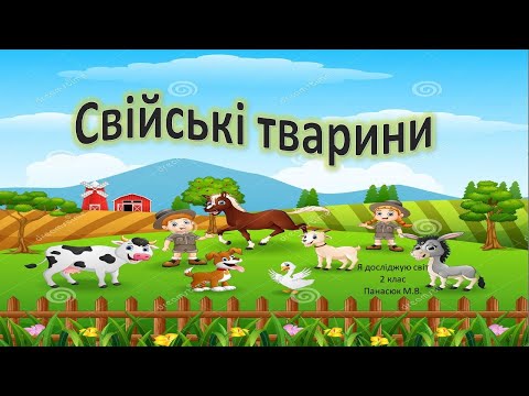 Видео: Свійські тварини. Я досліджую світ 2 клас