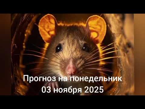 Видео: 2025.11.03  Ежедневная рубрика Астрологический прогноз.  #астропрогноздлявсех #гороскоп #бацзы 🥰
