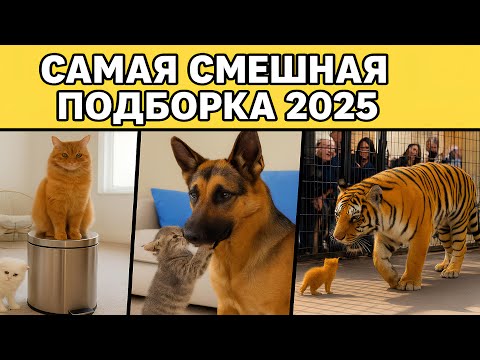 Видео: ПОДБОРКА САМЫХ СМЕШНЫХ МОМЕНТОВ С ЖИВОТНЫМИ 2025  РЖАЛ ДО СЛЁЗ