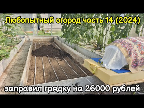 Видео: Любопытный огород часть 14 (2024)