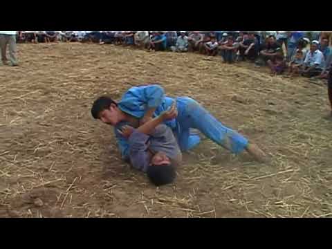 Видео: гуштин дар Ширкент