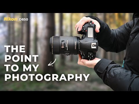 Видео: Суть моей фотографии — макросъемка с Nikon D850