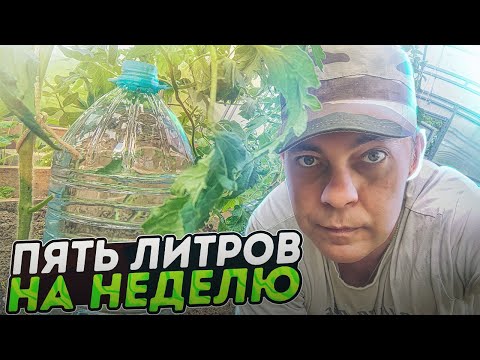 Видео: КАПЕЛЬНЫЙ ПОЛИВ ИЗ ПЛАСТИКОВОЙ БУТЫЛКИ И ВАТНОЙ ПАЛОЧКИ / БУТЫЛОЧНО-КАПЕЛЬНЫЙ ПОЛИВ #garden