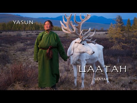 Видео: Цаатан / čaatan / tsaatan. О калмыцких торгуудах цаатанах Общие сведения Проект Yasun стрим 19.11.19