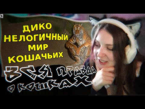 Видео: ЛЕМИ СМОТРИТ: БЕЗУМНАЯ ЛОГИКА МИРА КОШАЧЬИХ | ВСЯ ПРАВДА О КОШКАХ?!